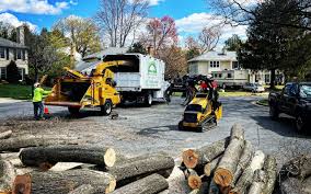 Best Sod Installation  in Tomahawk, WI